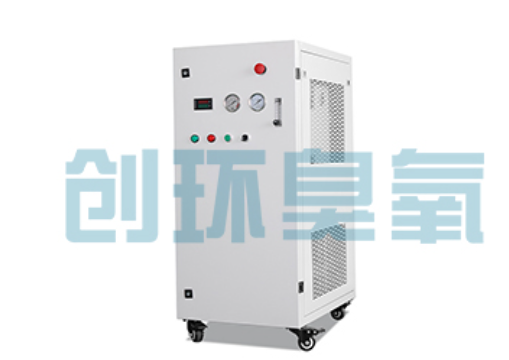 秦皇岛石斑鱼养殖水质调控完整指南：臭氧发生器配置与操作步骤