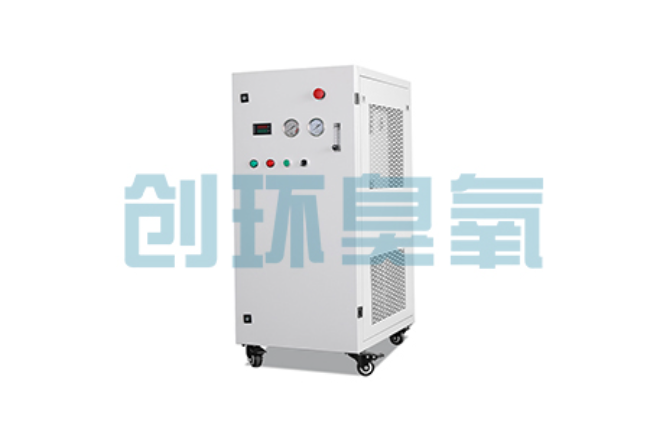 秦皇岛比传统换水更高效？臭氧发生器在石斑鱼养殖中的水质净化原理解析